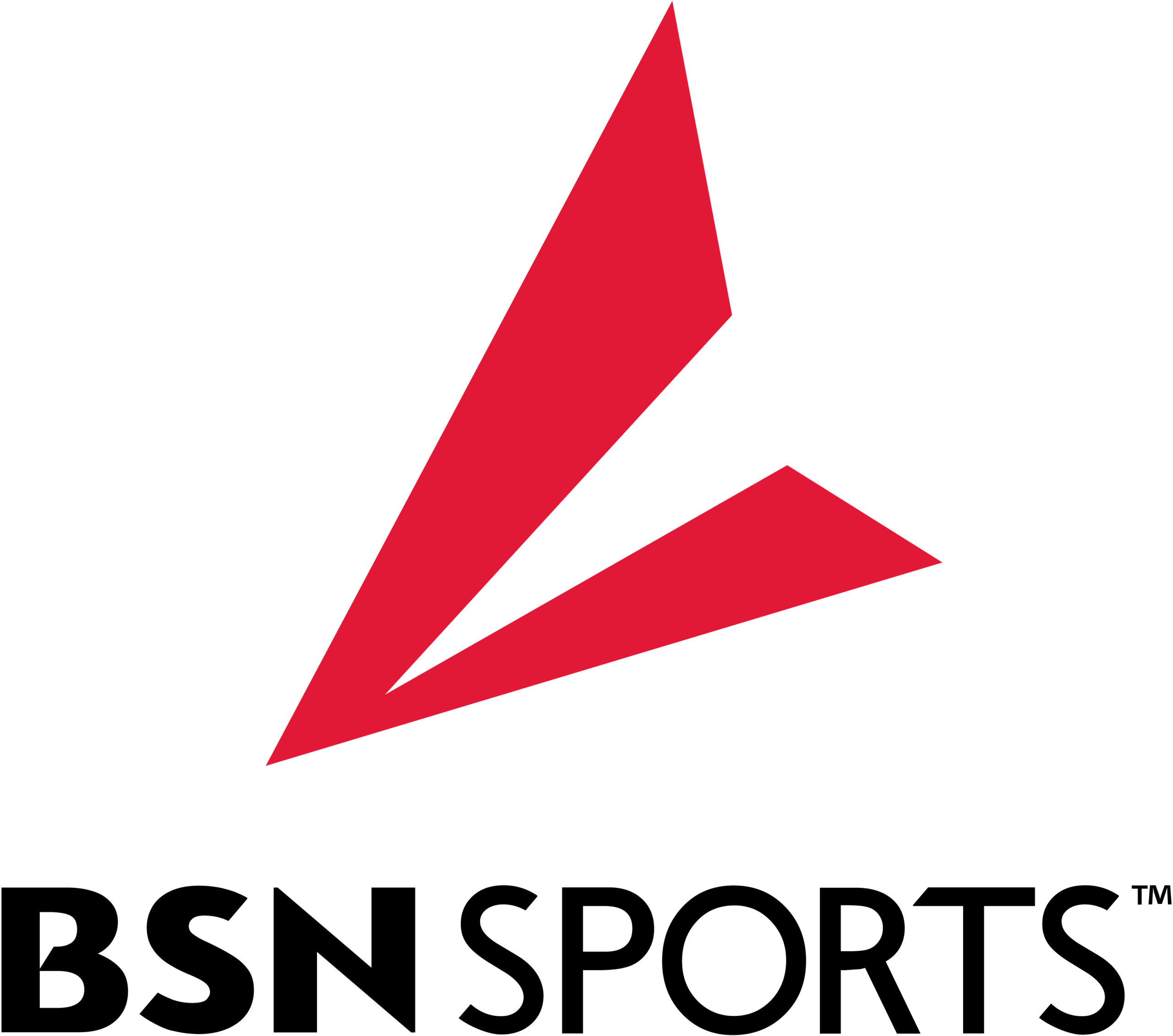 Bsn-Sports-logo-png