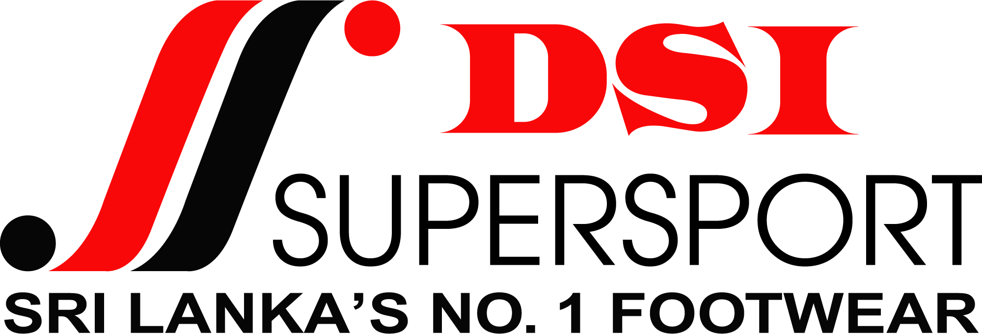 DSI-logo-png