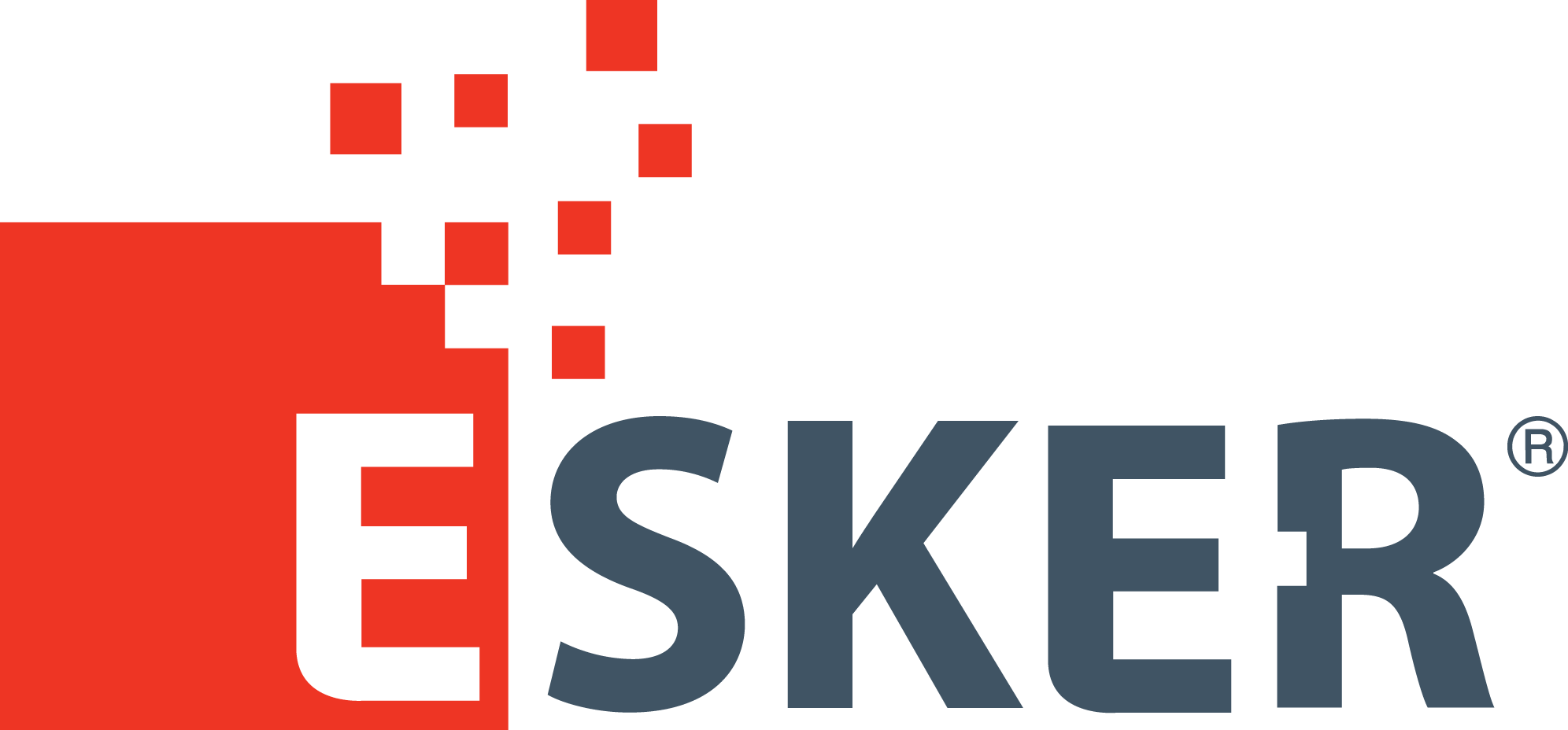 Esker-logo-png