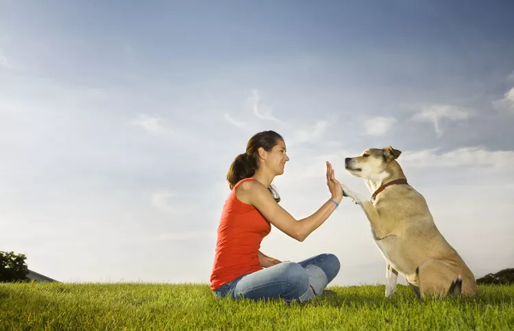 GettyImages-89116080-56bfafcd5f9b5829f866ffb1