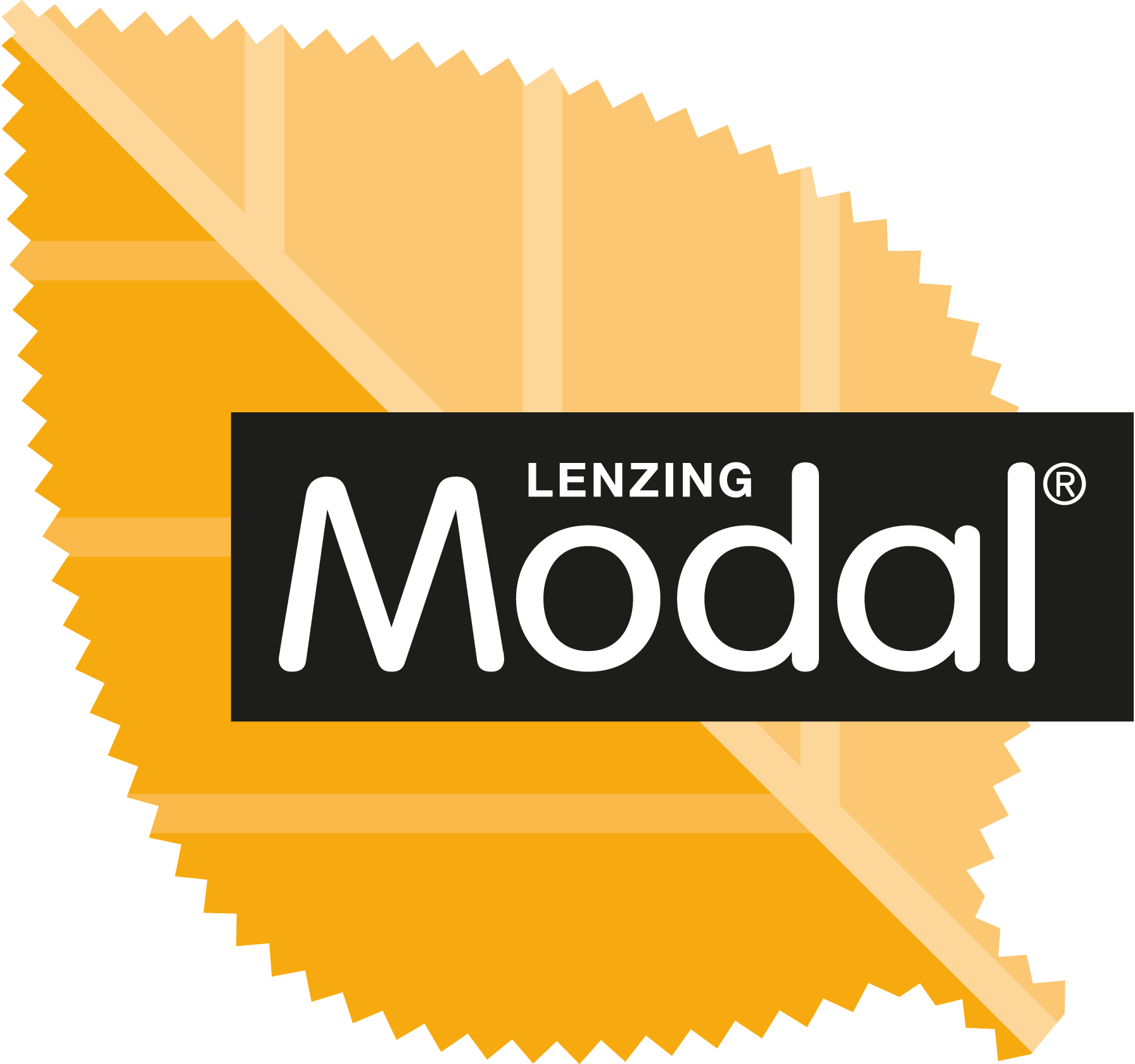 Modal-logo-png