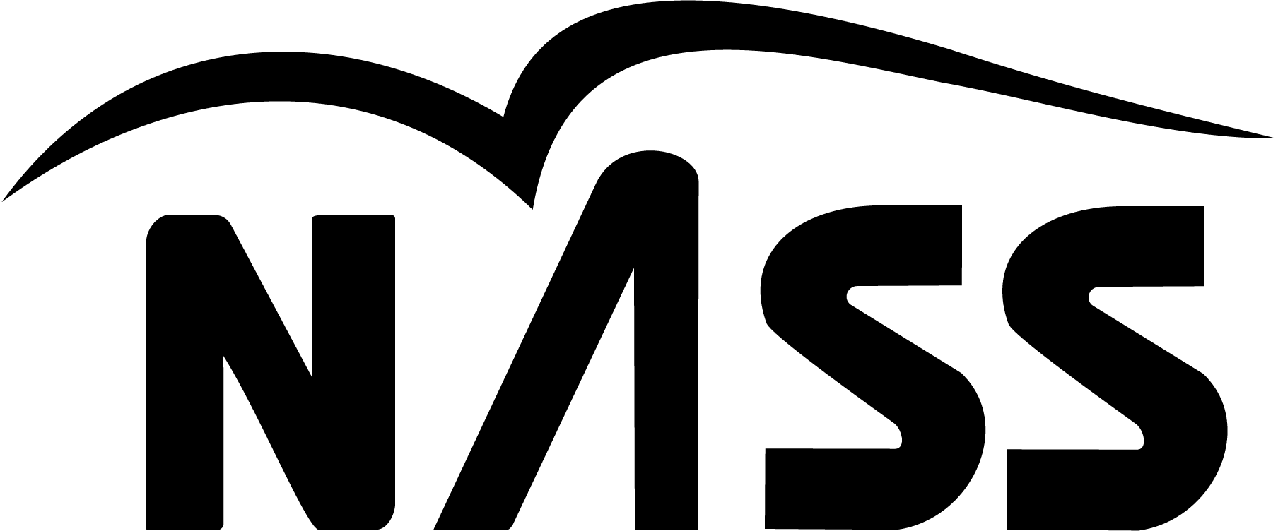 Nass-logo-png