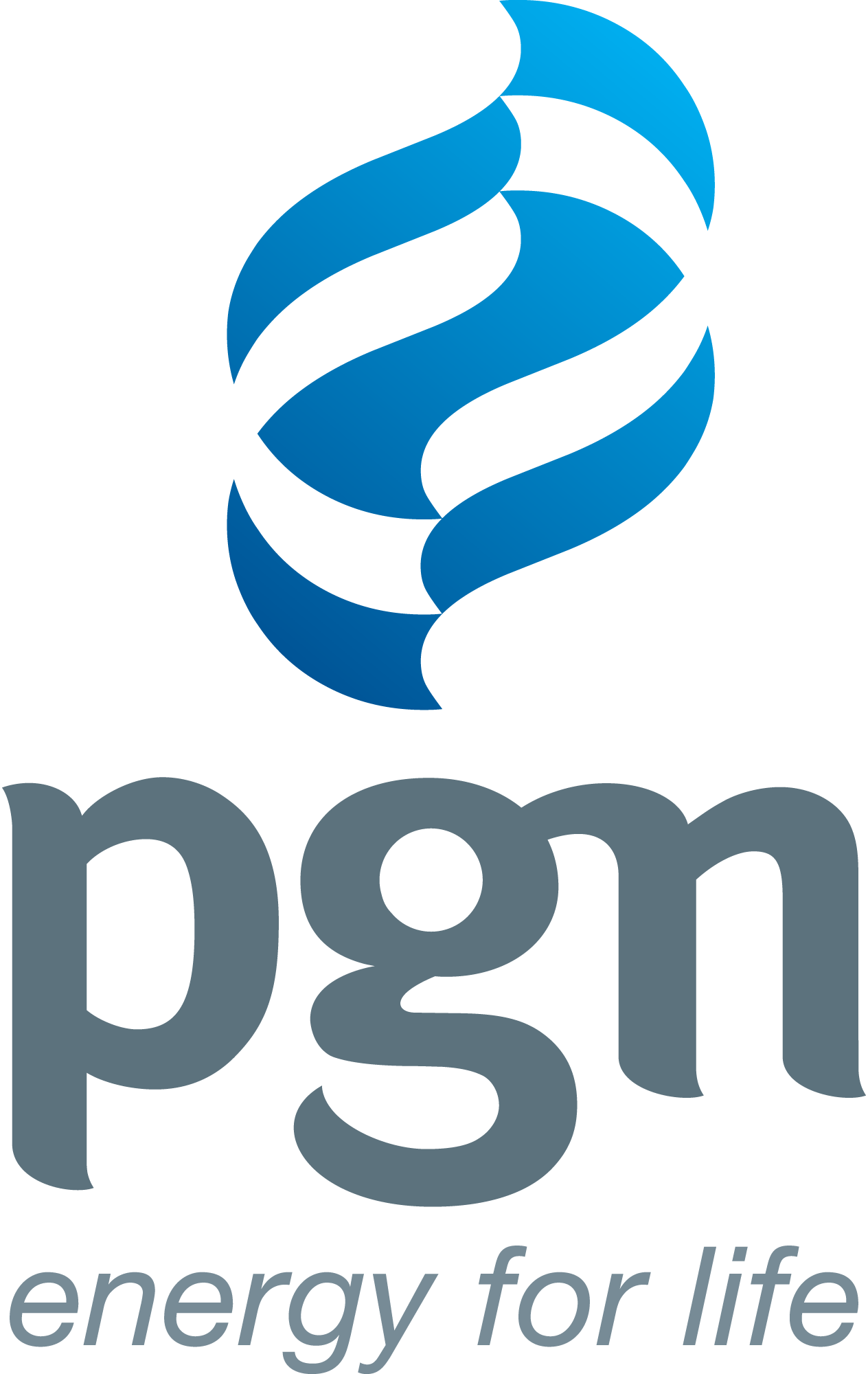 Pgn-logo-png