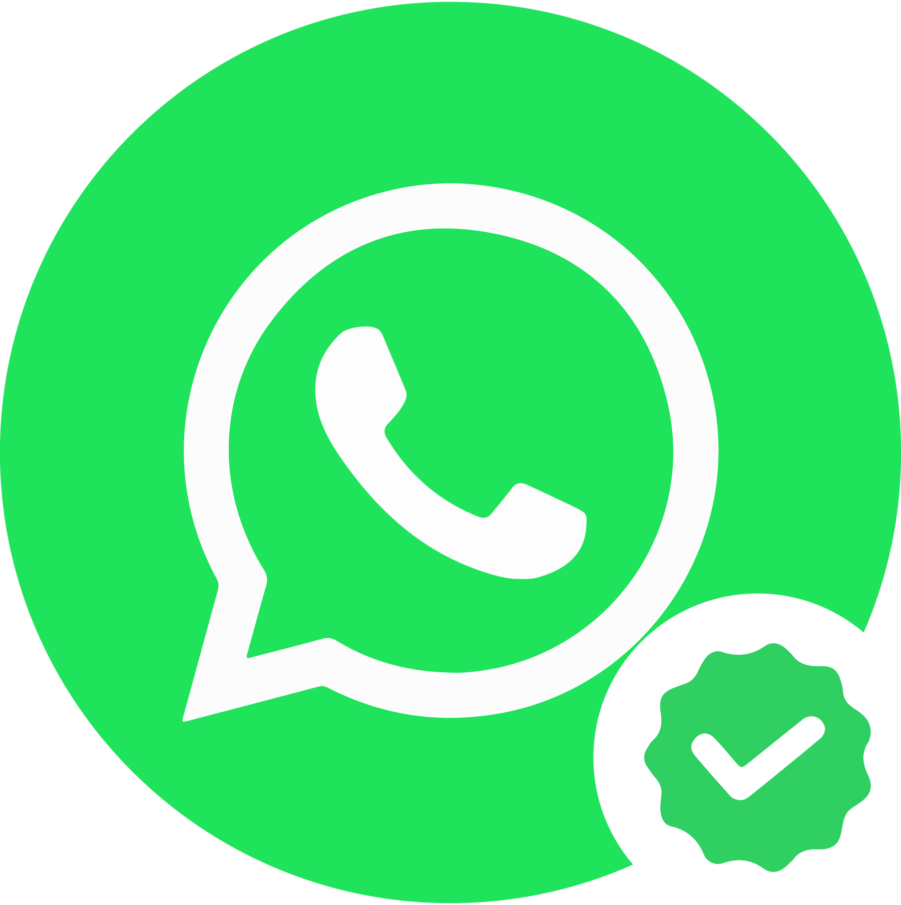 Whatsapp-Verified-logo-png