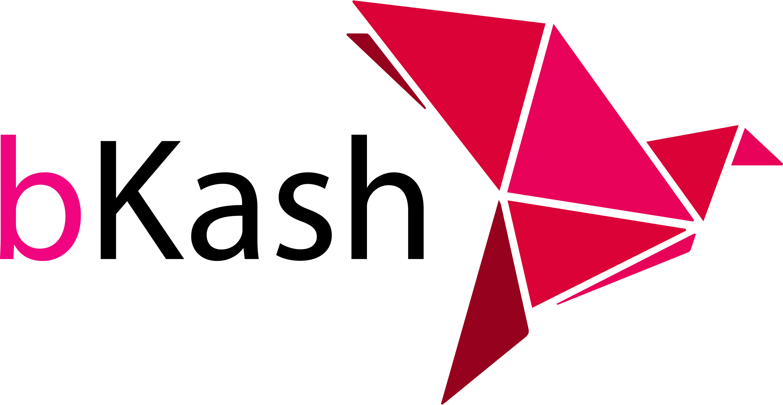 bKash-logo-png