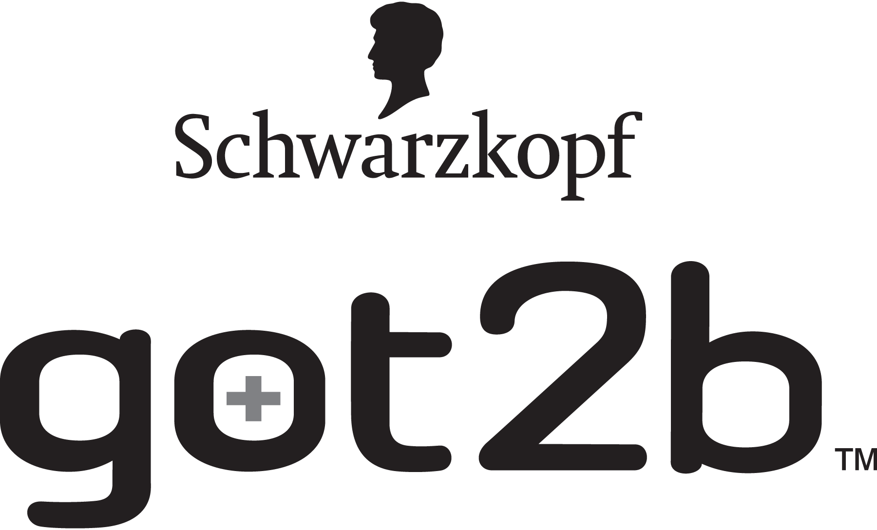 got2b-logo-png